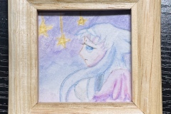 星の降る小さな夜に